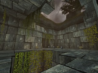 dk_cockblockedshot01